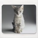 Search for front mousepads Cat