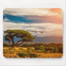 Search for kenya Kenya africa