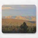 Search for northern electronics Pine trees