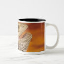 Search for bearded dragon coffee mugs Shells
