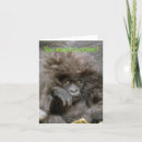Search for crazy monkey Coffee