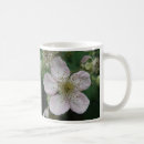 Search for macro flower mugs Flowers