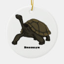 Search for tortoise christmas tree decorations Ecuador