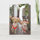 Search for funny mexican birthday cards Humour