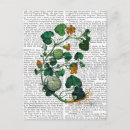 Search for squash postcards Veggie