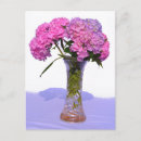 Search for pink hydrangea postcards Roses