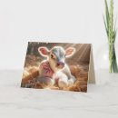 Search for stall cards Rustic