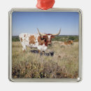 Search for longhorn cow christmas decor Texas
