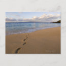 Search for footprints postcards Beach