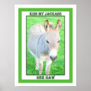 Search for jackass Animal