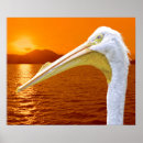 Search for corfu posters Nature