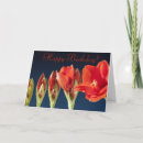 Search for gladiolus flowers cards Cute