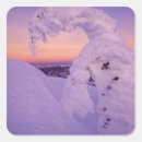 Search for whitefish stickers Sunset