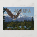 Search for american national park postcards Souvenir