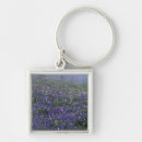 Search for lupine key rings Scenic