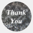 Search for generous stickers Thank you