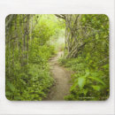 Search for pathway mousepads Forest