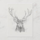 Search for contemporary postcards Drawing