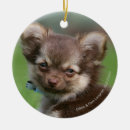 Search for liver christmas tree decorations Puppy
