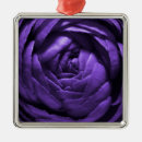 Search for macro christmas tree decorations Botanical