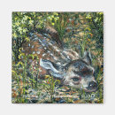 Search for cute fawn magnets Deer