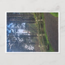 Search for oregon trail postcards Coast