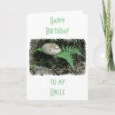Search for stump cards Forest