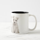 Search for week mugs Photography