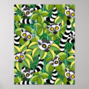 Search for lemurs posters Primates