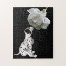 Search for dalmatian puzzles Puppy