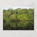 Search for amazonas postcards Amazonian