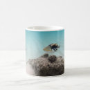 Search for white coral mugs Sea