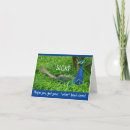 Search for peacock cards Peafowl