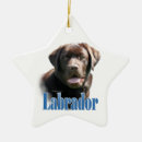 Search for labrador christmas tree decorations Chocolate lab