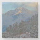 Search for colorado coasters Estes park