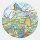 Search for fruit tree stickers Nature