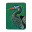 Search for herons magnets Great blue heron
