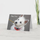 Search for scotty dog westie cards Animals
