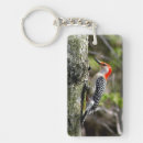Search for woodpecker key rings Red bellied woodpecker