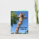 Search for giraffe humour cards Colourful