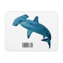 Search for hammerhead shark magnets Ocean