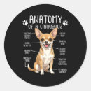 Search for funny chihuahua stickers Pet