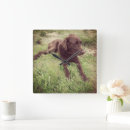 Search for chocolate lab art Brown