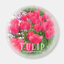 Search for tulip magnets Pink