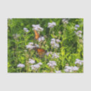 Search for monarch crafts party Bugs