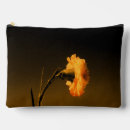 Search for carnations photography Vintage