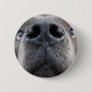 Search for working dogs badges Great dane