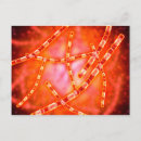 Search for bacterium postcards Healthcare