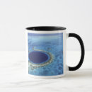 Search for central america mugs Tree