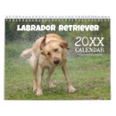 Search for labrador retriever calendars Dog